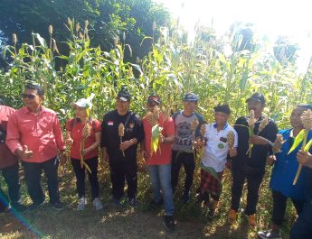 BMI Buleleng Gandeng HKTI Bali Kembangkan Sorgum di Desa Pacung, Kecamatan Tejakula, Buleleng